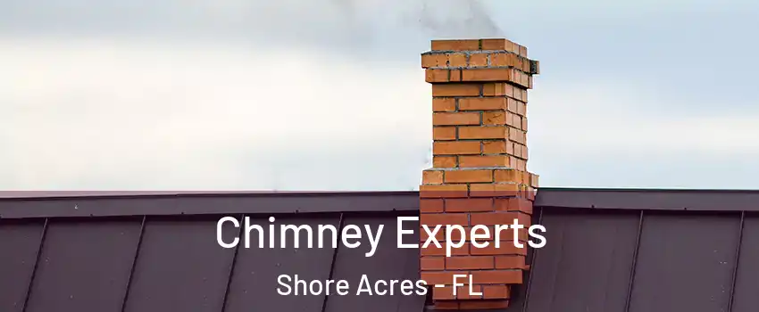 Chimney Experts Shore Acres - FL