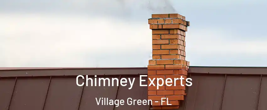 Chimney Experts Village Green - FL
