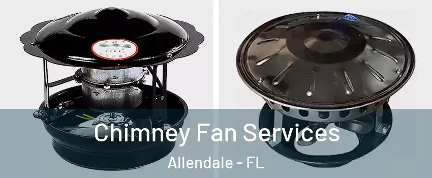 Chimney Fan Services Allendale - FL