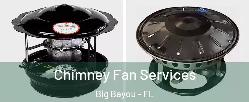 Chimney Fan Services Big Bayou - FL