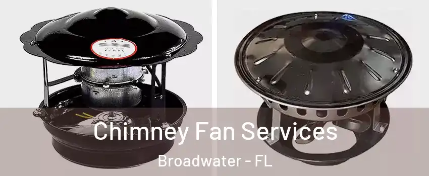 Chimney Fan Services Broadwater - FL