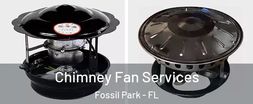 Chimney Fan Services Fossil Park - FL