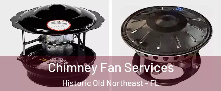 Chimney Fan Services Historic Old Northeast - FL
