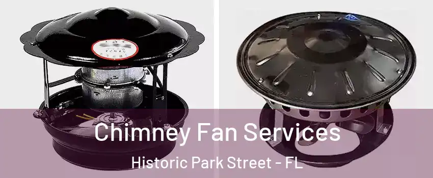 Chimney Fan Services Historic Park Street - FL