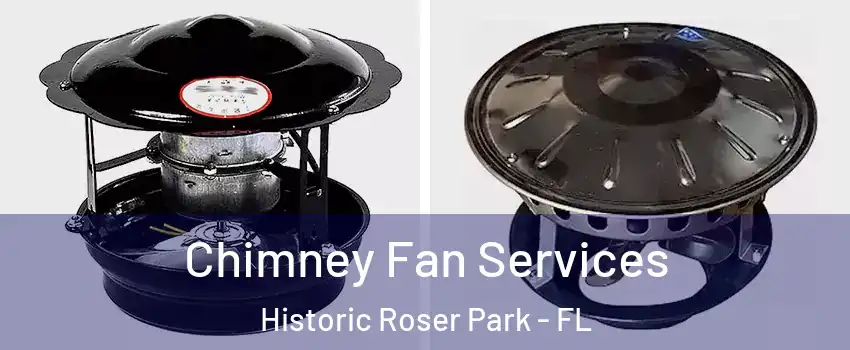 Chimney Fan Services Historic Roser Park - FL
