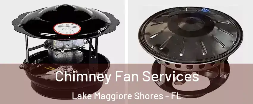 Chimney Fan Services Lake Maggiore Shores - FL