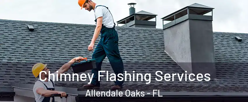 Chimney Flashing Services Allendale Oaks - FL