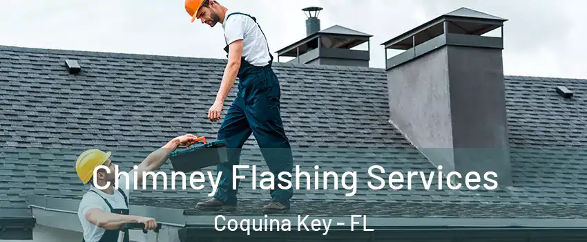 Chimney Flashing Services Coquina Key - FL