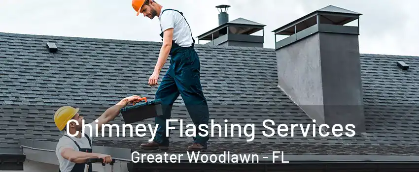 Chimney Flashing Services Greater Woodlawn - FL