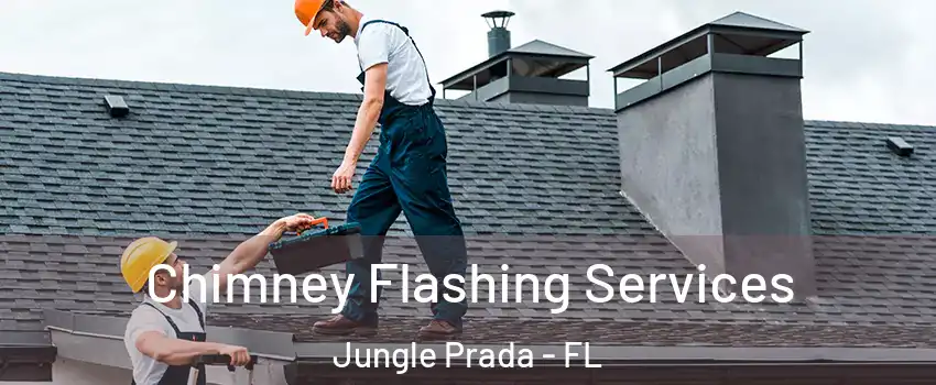 Chimney Flashing Services Jungle Prada - FL