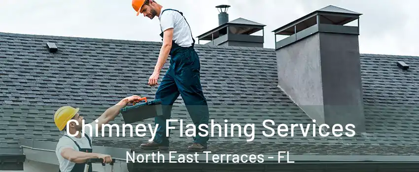 Chimney Flashing Services North East Terraces - FL