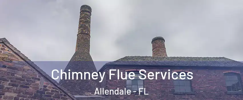 Chimney Flue Services Allendale - FL