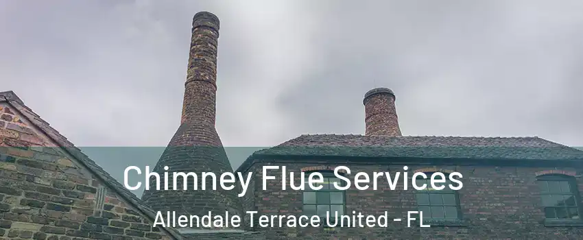 Chimney Flue Services Allendale Terrace United - FL