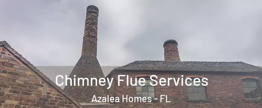Chimney Flue Services Azalea Homes - FL
