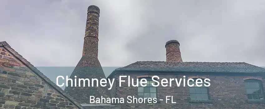 Chimney Flue Services Bahama Shores - FL