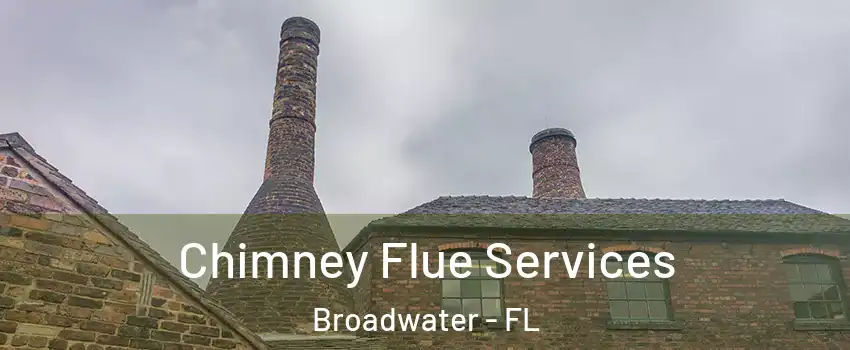 Chimney Flue Services Broadwater - FL