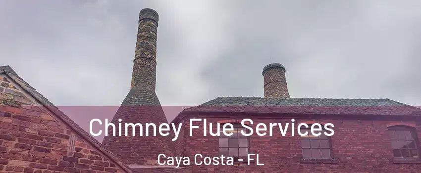 Chimney Flue Services Caya Costa - FL