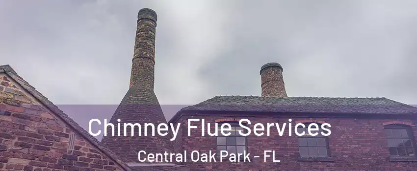 Chimney Flue Services Central Oak Park - FL