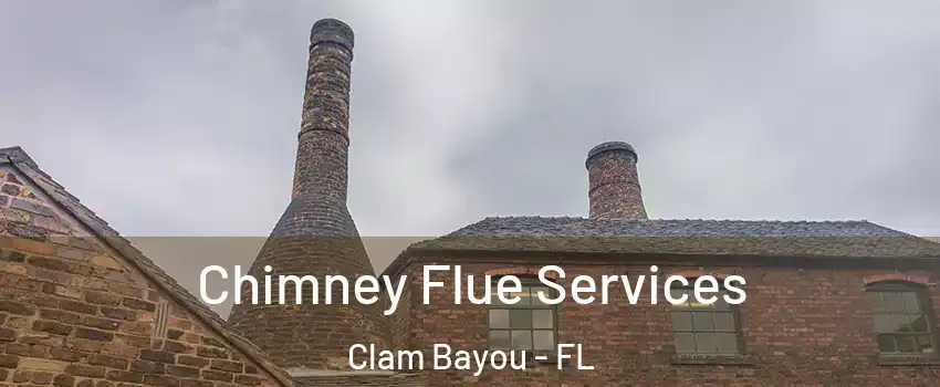 Chimney Flue Services Clam Bayou - FL