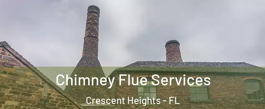 Chimney Flue Services Crescent Heights - FL