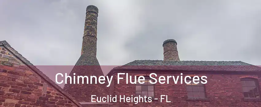 Chimney Flue Services Euclid Heights - FL