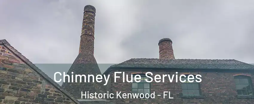 Chimney Flue Services Historic Kenwood - FL