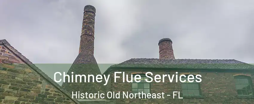Chimney Flue Services Historic Old Northeast - FL