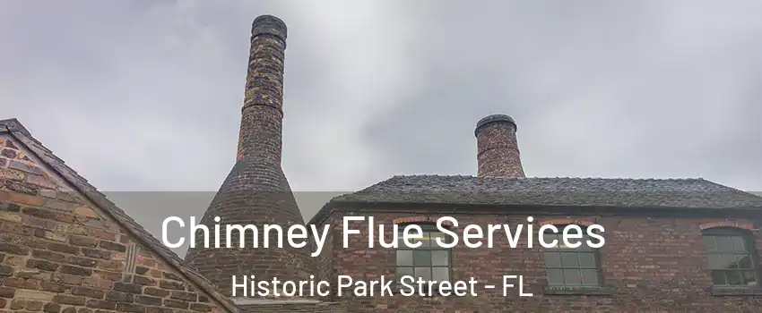 Chimney Flue Services Historic Park Street - FL