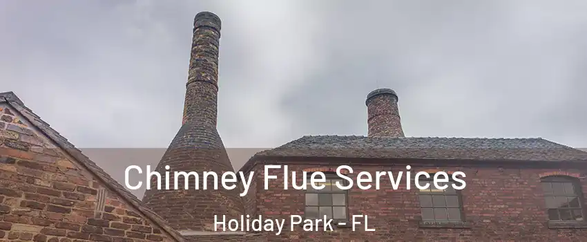 Chimney Flue Services Holiday Park - FL