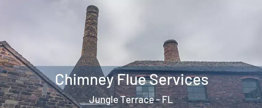 Chimney Flue Services Jungle Terrace - FL