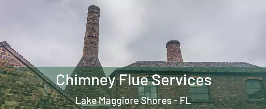 Chimney Flue Services Lake Maggiore Shores - FL