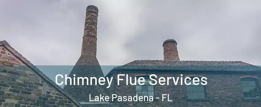 Chimney Flue Services Lake Pasadena - FL