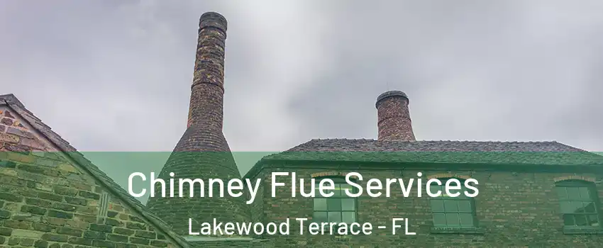 Chimney Flue Services Lakewood Terrace - FL