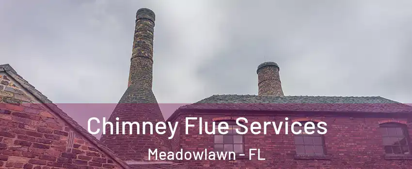 Chimney Flue Services Meadowlawn - FL