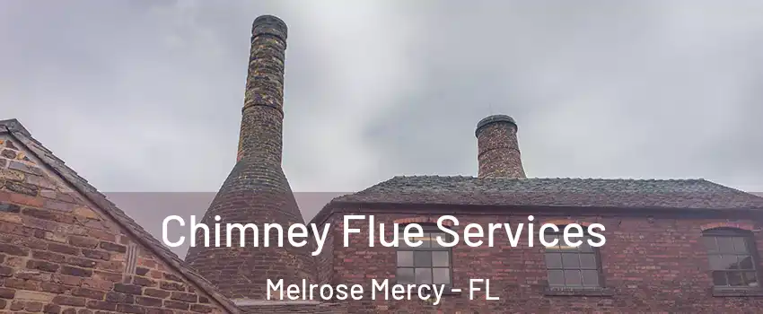 Chimney Flue Services Melrose Mercy - FL