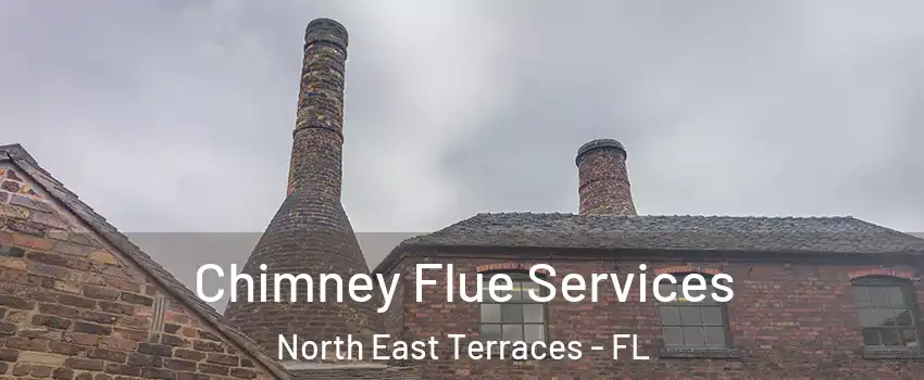 Chimney Flue Services North East Terraces - FL