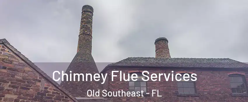 Chimney Flue Services Old Southeast - FL