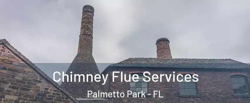 Chimney Flue Services Palmetto Park - FL
