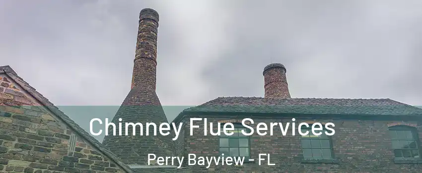 Chimney Flue Services Perry Bayview - FL