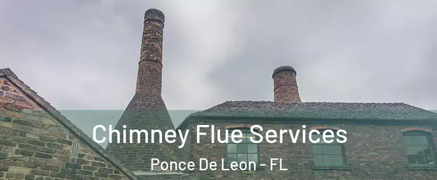 Chimney Flue Services Ponce De Leon - FL