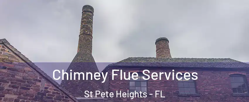 Chimney Flue Services St Pete Heights - FL