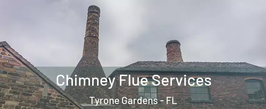Chimney Flue Services Tyrone Gardens - FL