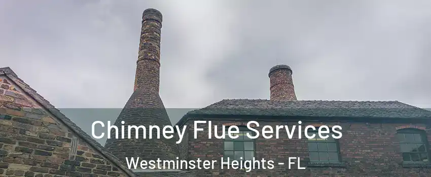Chimney Flue Services Westminster Heights - FL
