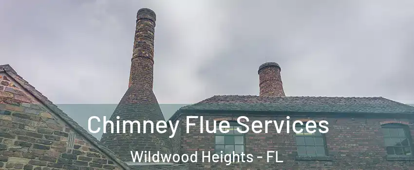 Chimney Flue Services Wildwood Heights - FL