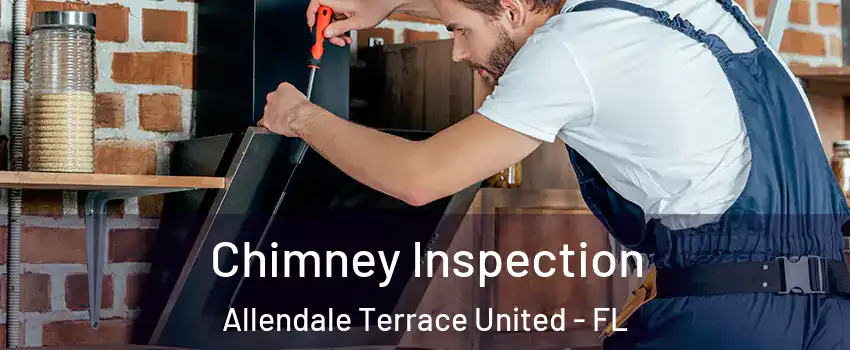 Chimney Inspection Allendale Terrace United - FL