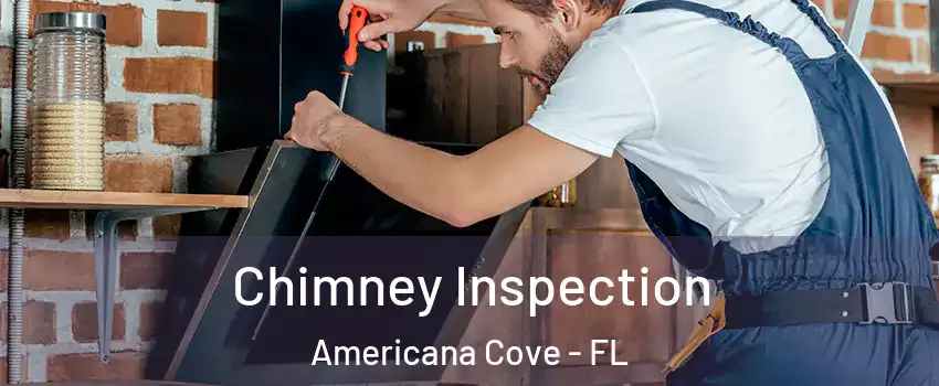 Chimney Inspection Americana Cove - FL