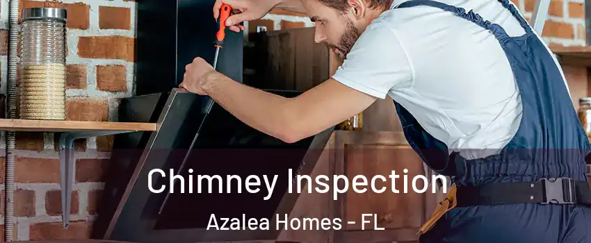 Chimney Inspection Azalea Homes - FL