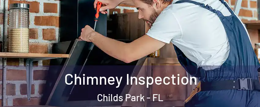 Chimney Inspection Childs Park - FL