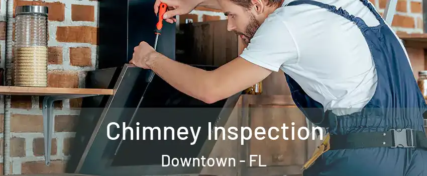 Chimney Inspection Downtown - FL