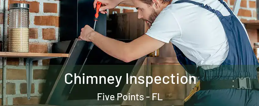 Chimney Inspection Five Points - FL